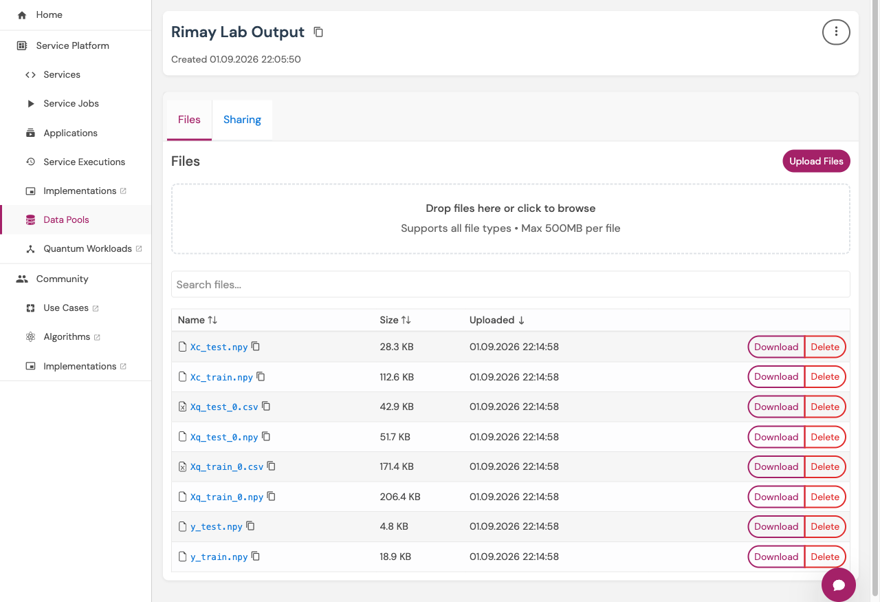 The output data pool's Files tab on the Hub dashboard after the verified run: eight files, the two quantum feature arrays as both .npy and .csv, the echoed classical arrays and both label arrays, all uploaded at the same timestamp.